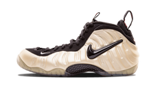 Air Foamposite Pro 2010