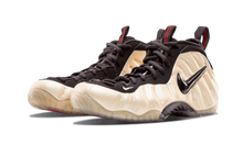 Air Foamposite Pro 2010