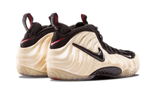 Air Foamposite Pro 2010