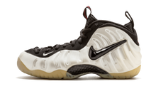 Air Foamposite Pro