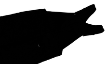 100 Dollar Bill Overalls