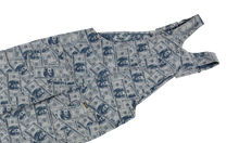 100 Dollar Bill Overalls